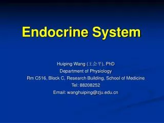 Endocrine System