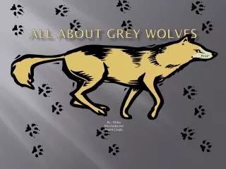 all about grey wolves