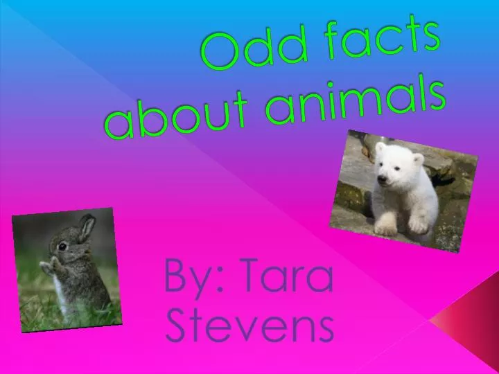odd facts about animals