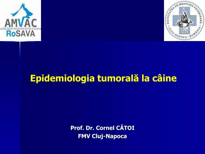 epidemiologia tumoral la c ine
