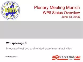 Workpackage 8 Integrated test bed and related experimental activities