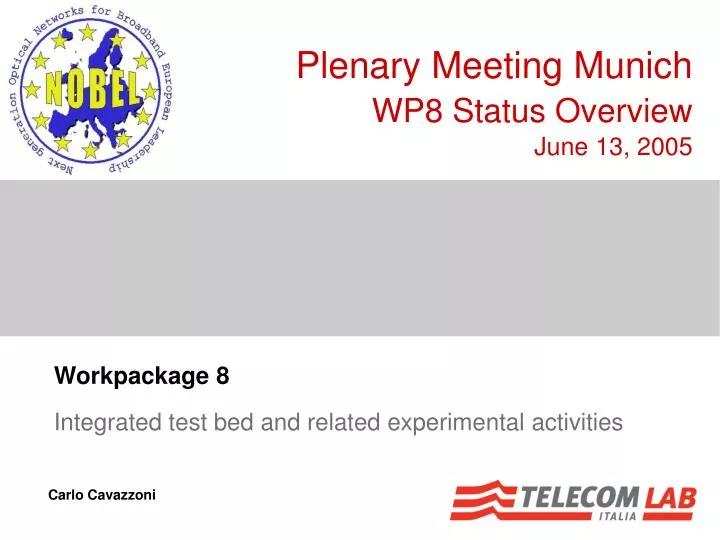 workpackage 8 integrated test bed and related experimental activities