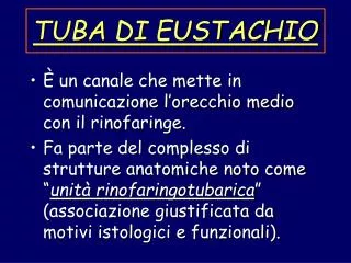 tuba di eustachio