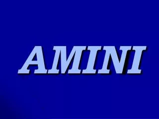 amini
