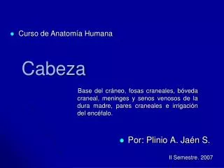 cabeza