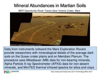 Mineral Abundances in Martian Soils