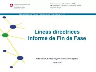 l neas directrices informe de fin de fase