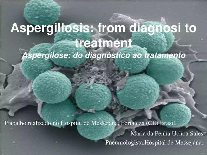 aspergillosis from diagnosi to treatment aspergilose do diagn stico ao tratamento