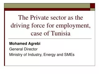 Mohamed Agrebi General Director Ministry of Industry, Energy and SMEs