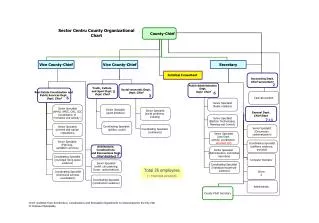 Sector Centru County Organizational Chart