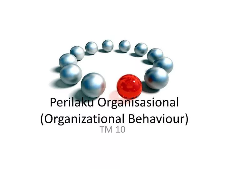 perilaku organisasional organizational behaviour