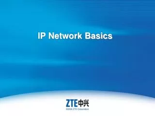 IP Network Basics