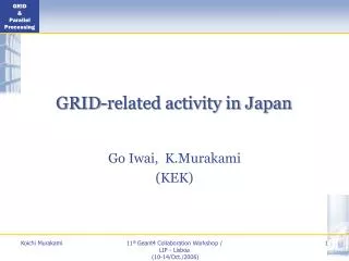 GRID-related activity in Japan