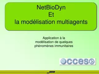 netbiodyn et la mod lisation multiagents