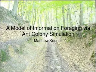 A Model of Information Foraging via Ant Colony Simulation