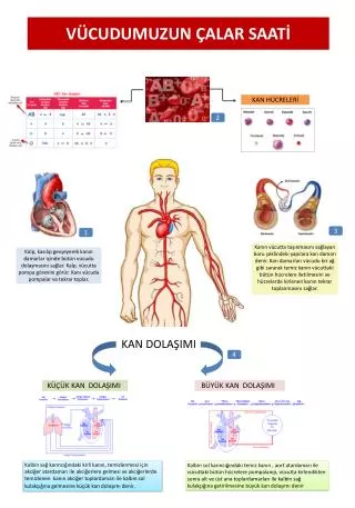 v cudumuzun alar saat