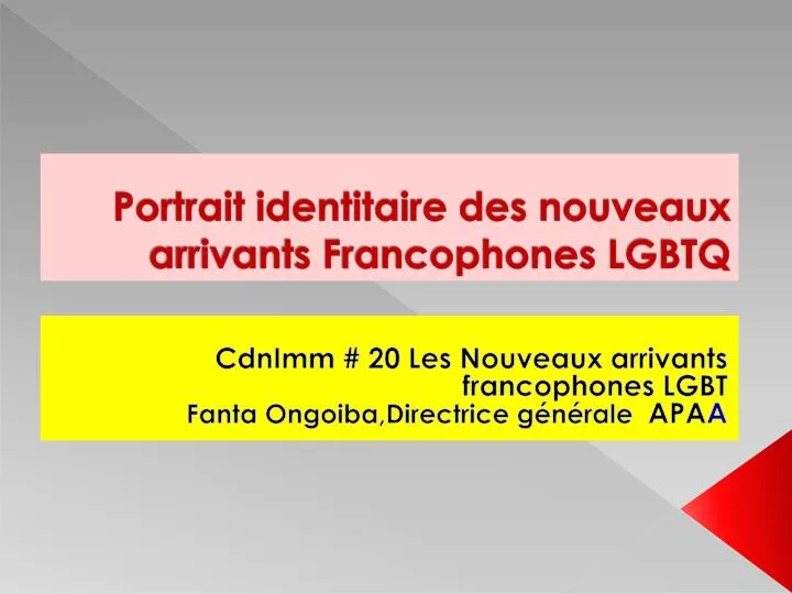 portrait identitaire des nouveaux arrivants francophones lgbtq