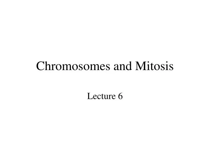 chromosomes and mitosis