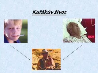 ku k v ivot