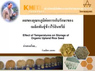 KMITL CHUMPHON