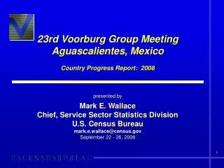 23rd Voorburg Group Meeting Aguascalientes, Mexico Country Progress Report: 2008