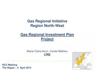 Gas Regional Initiative Region North-West Gas Regional Investment Plan Project