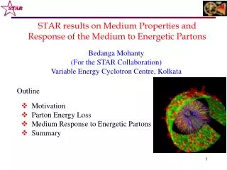 STAR results on Medium Properties and Response of the Medium to Energetic Partons
