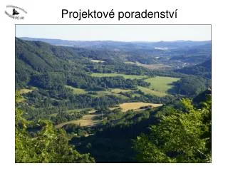 projektov poradenstv