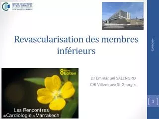 revascularisation des membres inf rieurs