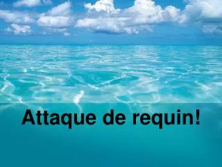 attaque de requin