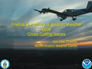 Friends &amp; Partners of Aviation Weather 2006 Cross-Cutting Issues