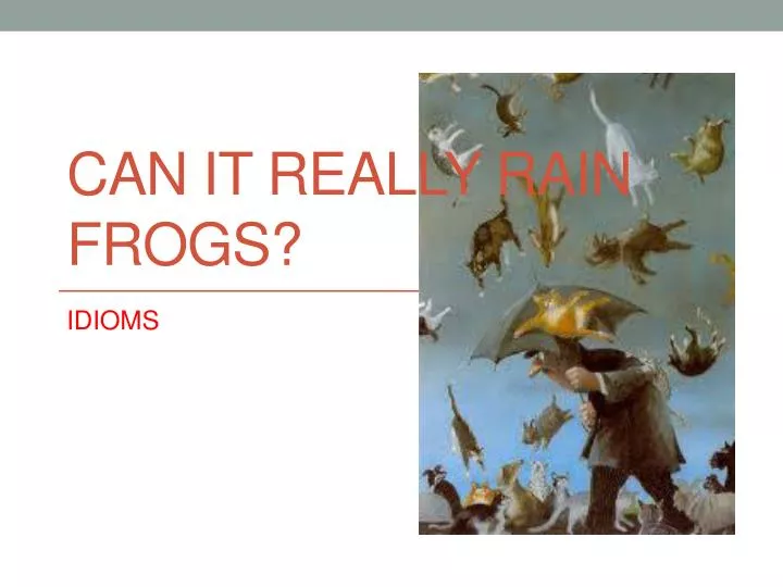can it really rain frogs