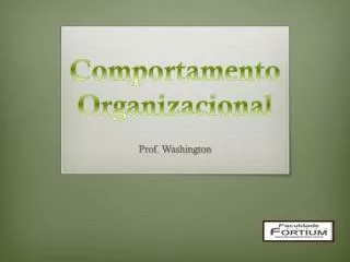comportamento organizacional