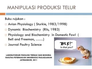 manipulasi produksi telur