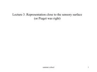 Lecture 3. Representation close to the sensory surface (or Piaget was right)