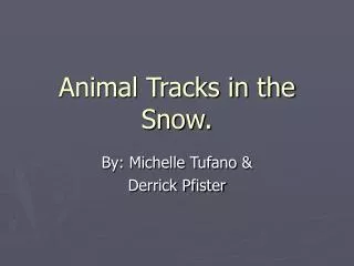 Animal Tracks in the Snow.