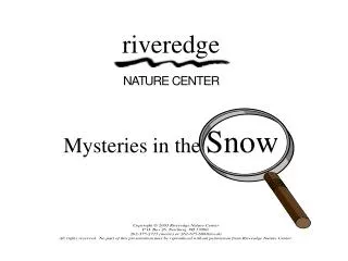 Mysteries in the Snow