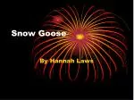Snow Goose - slide 1