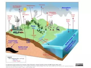 Soil Respiration (Decomposition)