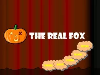 THE REAL FOX