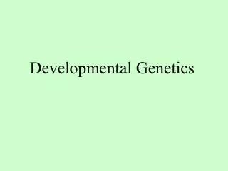 developmental genetics