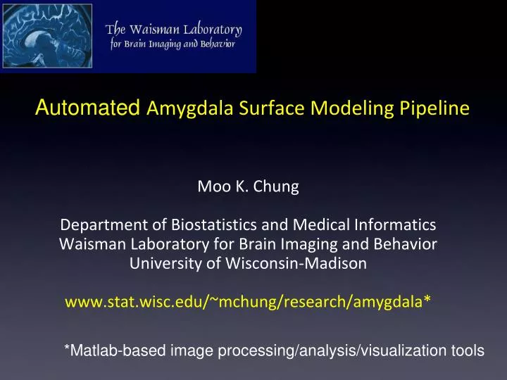 automated amygdala surface modeling pipeline