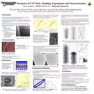 Mechanics of CNT Turfs: Modeling, Experiments and Characterization