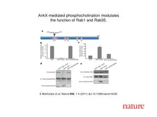 S Mukherjee et al. Nature 000 , 1 - 4 (2011) doi:10.1038/nature10335