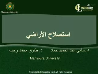 mansoura university