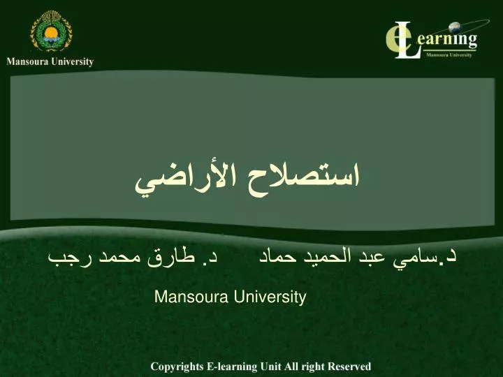 mansoura university