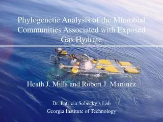 Phylogenetic Analysis of the Microbial Communities Associated with Exposed Gas Hydrate