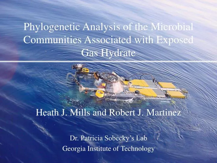 phylogenetic analysis of the microbial communities associated with exposed gas hydrate