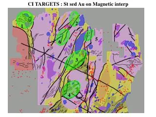 CI TARGETS : St sed Au on Magnetic interp