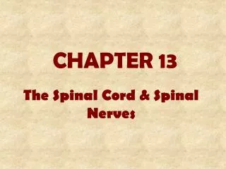 CHAPTER 13